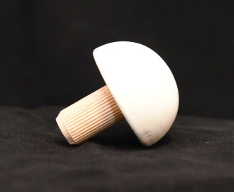 Embout de finition - Hêtre laqué blanc - diam. 40 mm